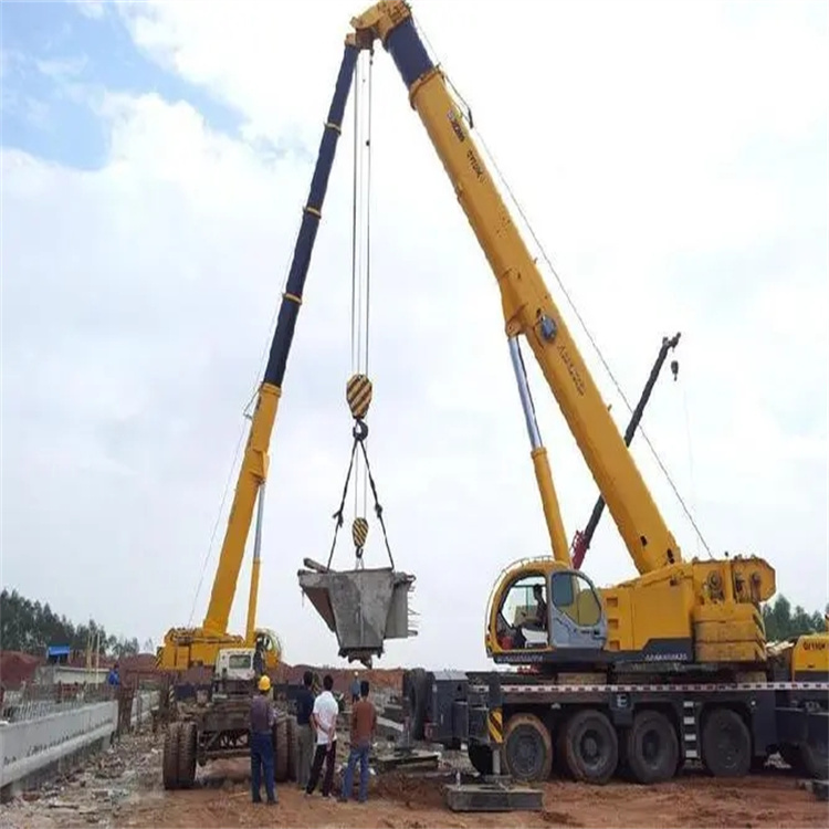 滨湖小型吊机出租电话|厂房设备吊装方案|24小时服务覆盖